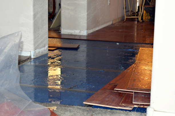 Professional Sewage Cleanup technician working in Kingston, IL